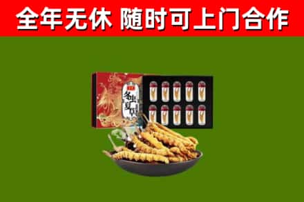 崇义烟酒回收冬虫夏草礼盒.jpg