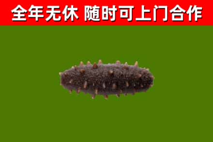 崇义烟酒回收干海参.jpg